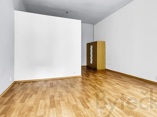 Prodaný byt 1+1 50 m²