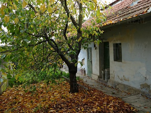 Prodaný dům 145 m², pozemek 364 m²