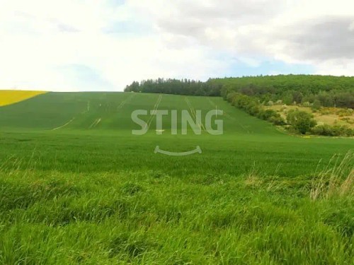 Prodej domu 145 m², pozemek 5178 m²