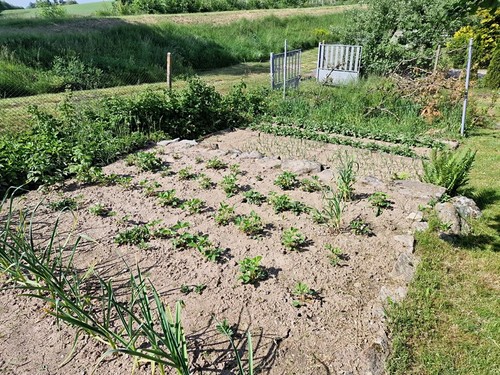 Prodaná chata 30 m², pozemek 530 m²