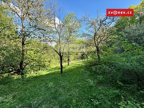 Prodaná chata 30 m², pozemek 6254 m²