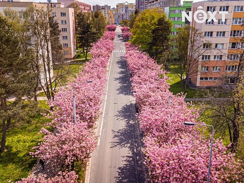 Prodaný byt 3+kk 65 m²