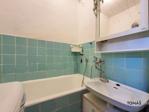Prodaný byt 2+1 53 m²