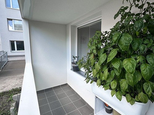 Prodaný byt 3+1 70 m²