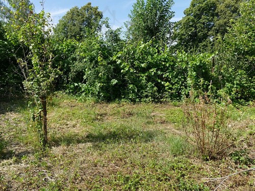 Prodaný dům 50 m², pozemek 408 m²
