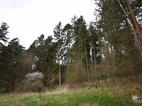 Prodaná chalupa 55 m², pozemek 6146 m²