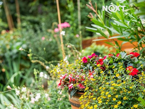 Prodaný  byt 2+1 65 m²