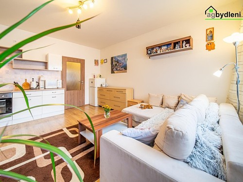 Prodaný byt 1+kk 32 m²