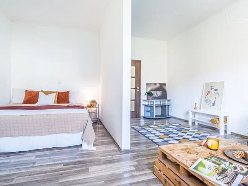 Prodaný byt 1+1 50 m²