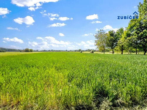 Prodej chaty 170 m², pozemek 3806 m²