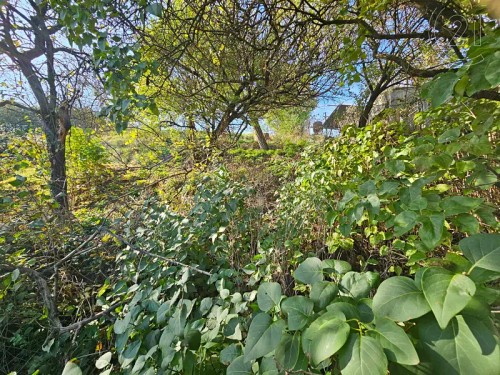 Prodaný dům 60 m², pozemek 607 m²