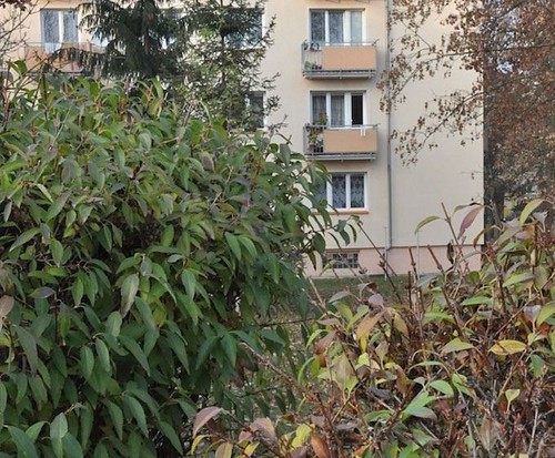 Prodaný byt 2+1 51 m²