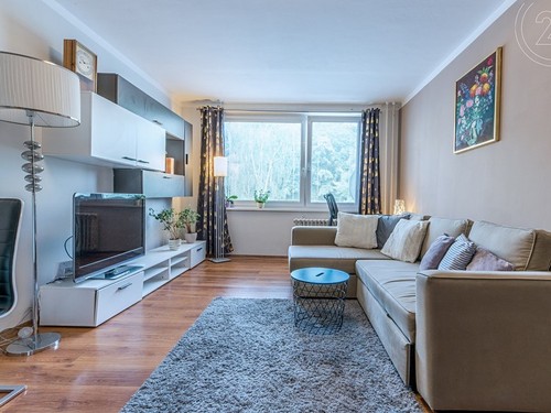 Prodaný byt 1+kk 29 m²