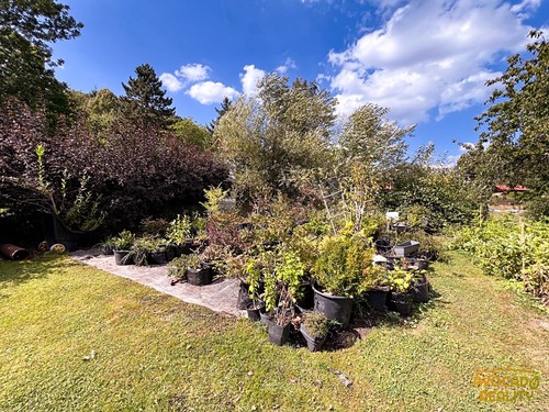 Prodej stavebního pozemku 1869 m²