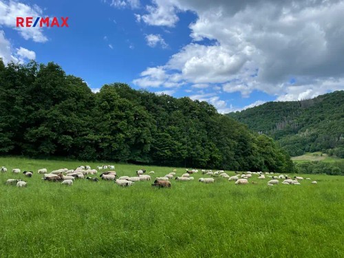 Prodej stavebního pozemku 1249 m²