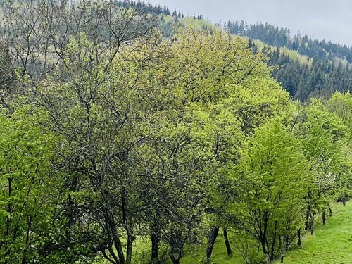 Prodaná chata 100 m², pozemek 394 m²