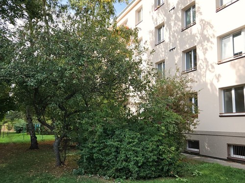Prodaný byt 2+1 54 m²