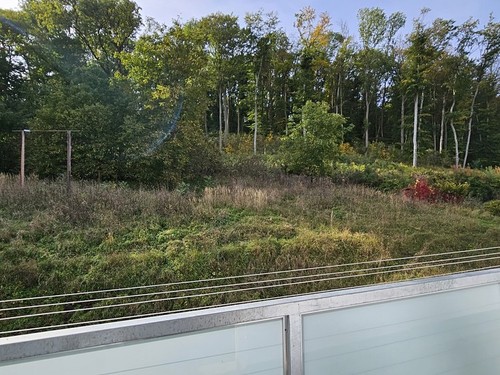 Prodaný byt 3+1 65 m²