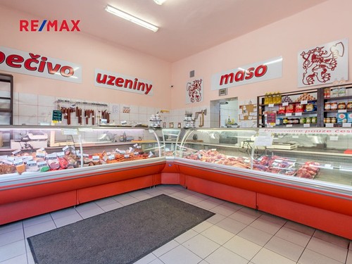 Prodaný dům 826 m², pozemek 1795 m²