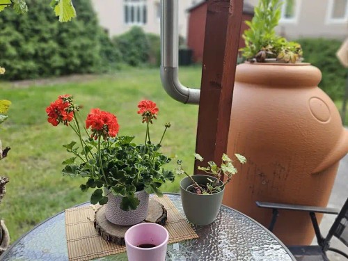 Prodej domu 400 m², pozemek 434 m²