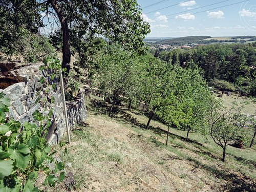 Prodaná chata 50 m², pozemek 388 m²