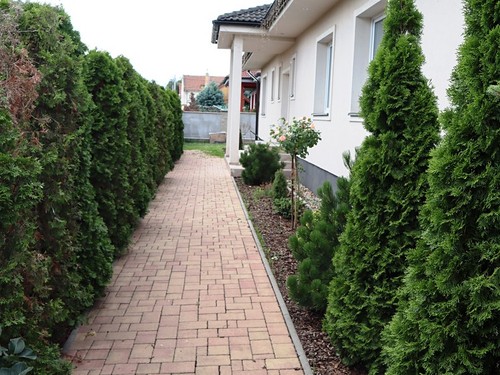 Prodej domu 176 m², pozemek 1648 m²