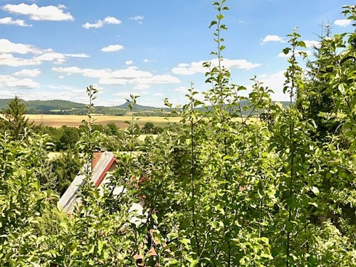 Prodaná chata 61 m², pozemek 509 m²
