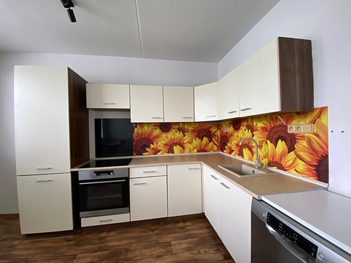 Prodaný byt 3+1 54 m²