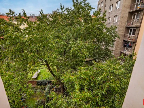 Prodaný byt 1+kk 37 m²