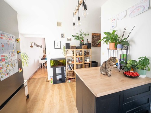 Prodaný byt 3+1 92 m²