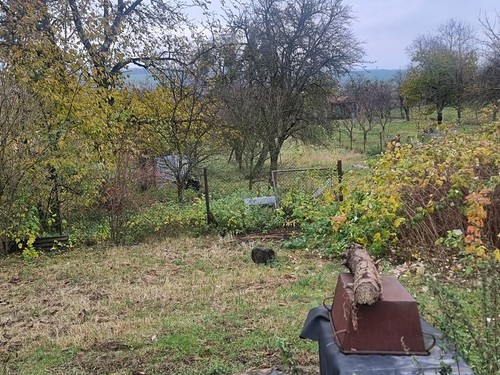 Prodaný dům 198 m², pozemek 2776 m²