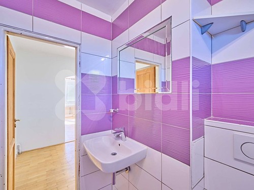Prodaný byt 3+1 58 m²