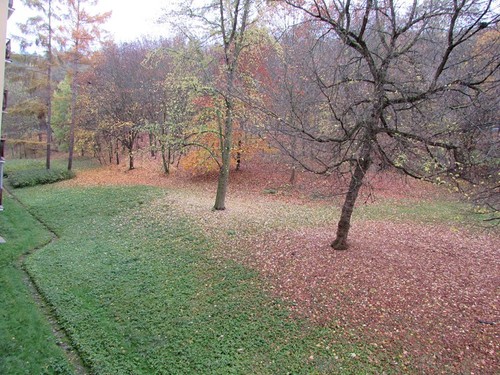 Prodaný byt 1+kk 20 m²