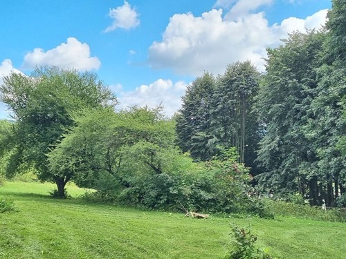 Prodaný dům 180 m², pozemek 8759 m²