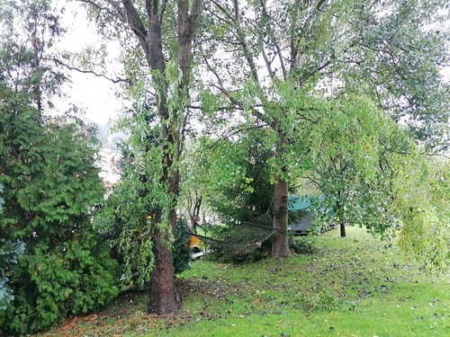 Prodaný dům 90 m², pozemek 1103 m²