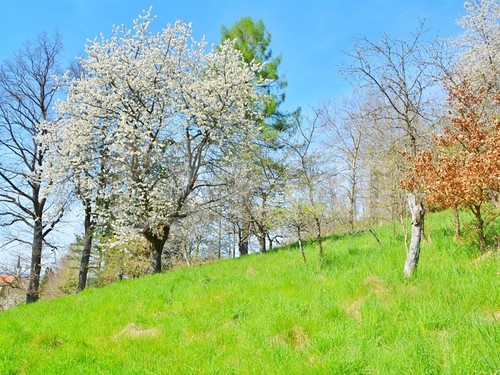 Prodaný dům 210 m², pozemek 4930 m²