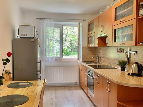 Prodaný byt 1+1 38 m²