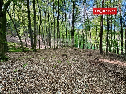 Prodaná chata 30 m², pozemek 6254 m²