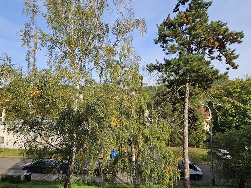Prodaný byt 3+1 65 m²