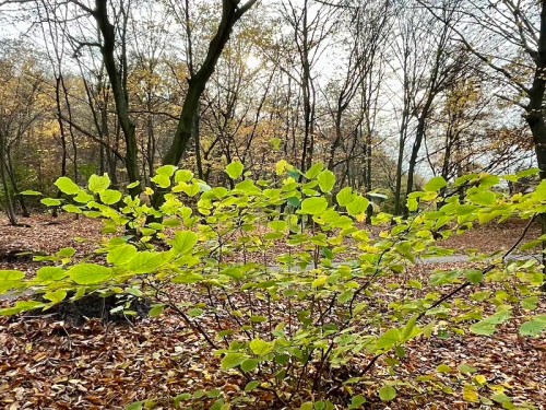 Prodaný byt 3+kk 74 m²