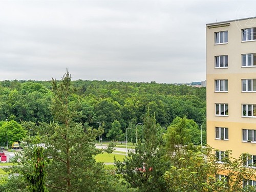 Prodaný byt 1+1 35 m²