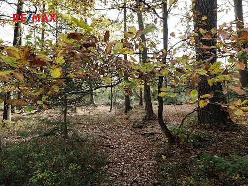Prodaný dům 157 m², pozemek 2073 m²