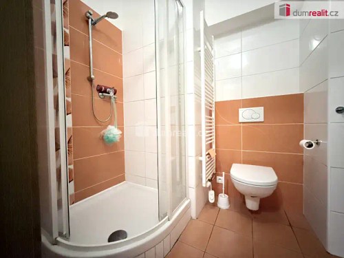 Prodaný  byt 1+kk 33 m²