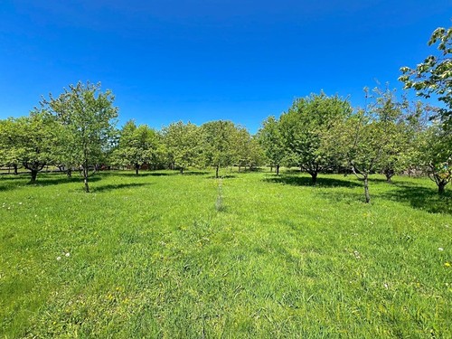 Prodaný dům 120 m², pozemek 2991 m²