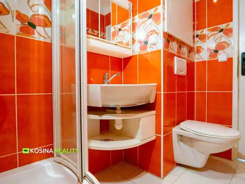 Prodaný  byt 3+1 67 m²
