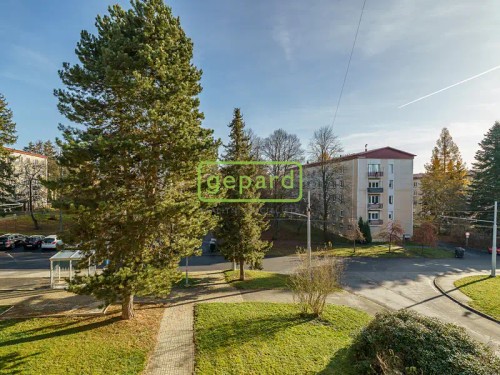 Prodaný byt 1+kk 21 m²