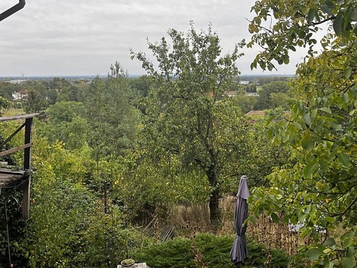 Prodaný dům 100 m², pozemek 1244 m²