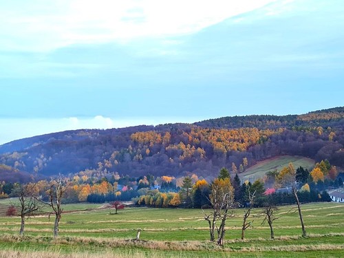 Prodaný dům 220 m², pozemek 2190 m²