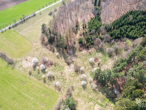 Prodaná chalupa 55 m², pozemek 6146 m²