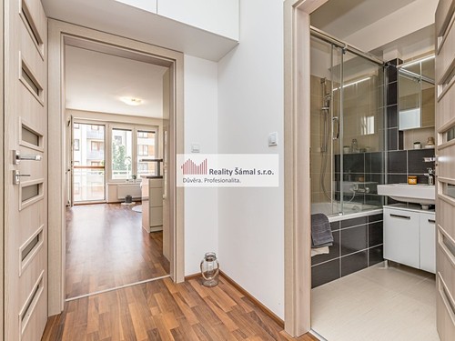 Prodaný byt 1+kk 37 m²